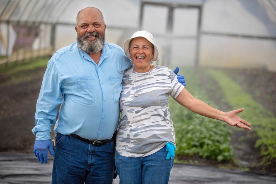 Cheating Climate Change: Climate-resilient farming provides financial benefits for N.C. growers, study shows