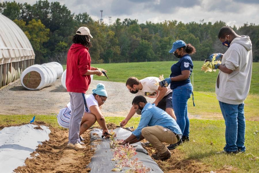 Wal-Mart grant to help connect students, agriculture jobs