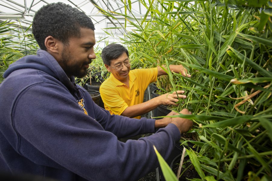 In a Growth Pattern: Two-Time Aggie William Lashley ’18 Cultivating a Ph.D.
