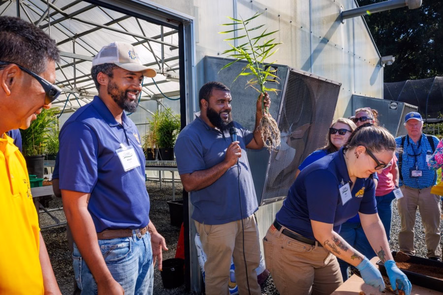 Small-Scale Growers Learn Tropical Crop Tips at Ginger Field Day